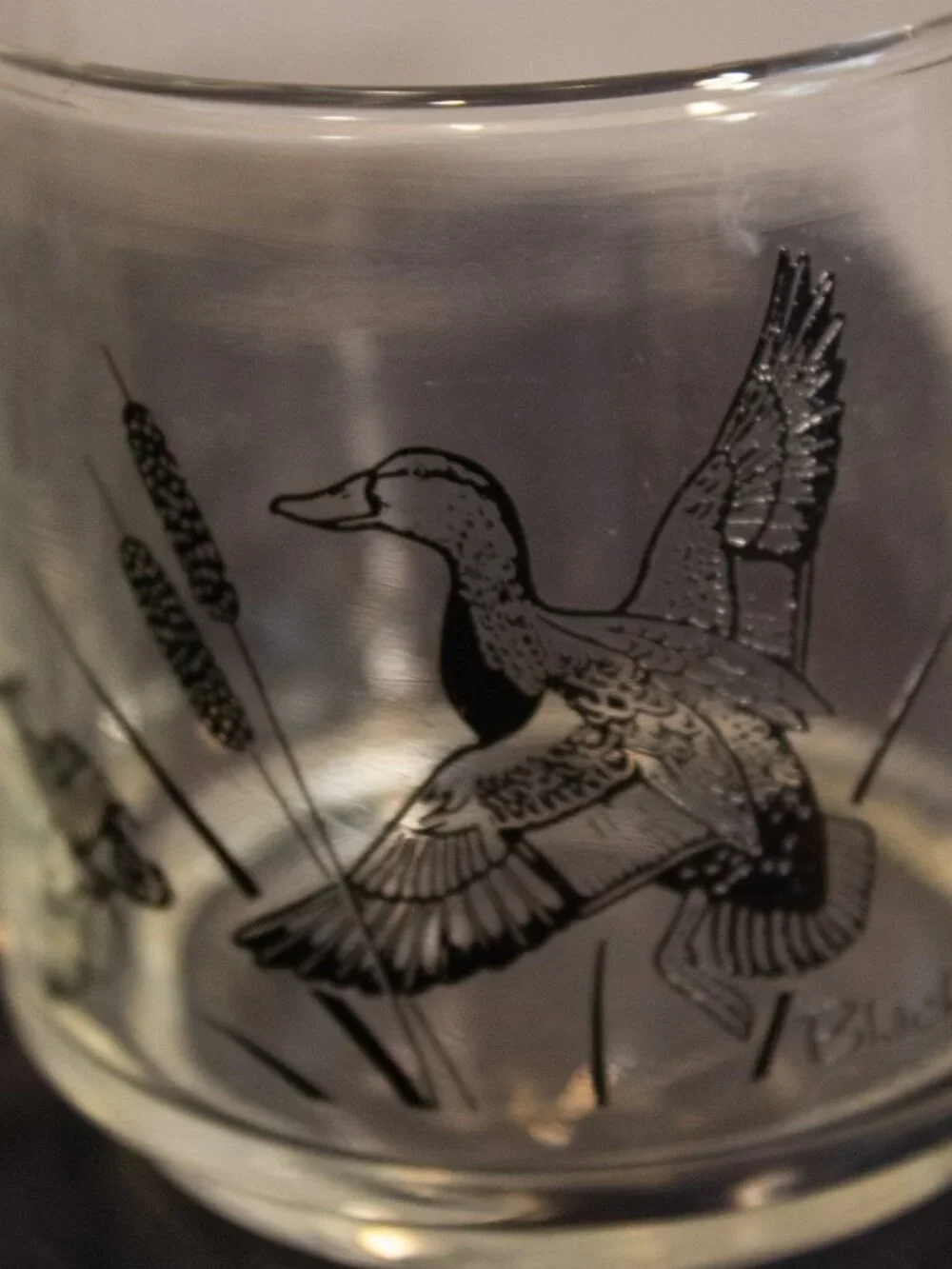Vintage Wildlife Drinking Glasses | Federal Glass | Game Birds | 6 oz Tumblers